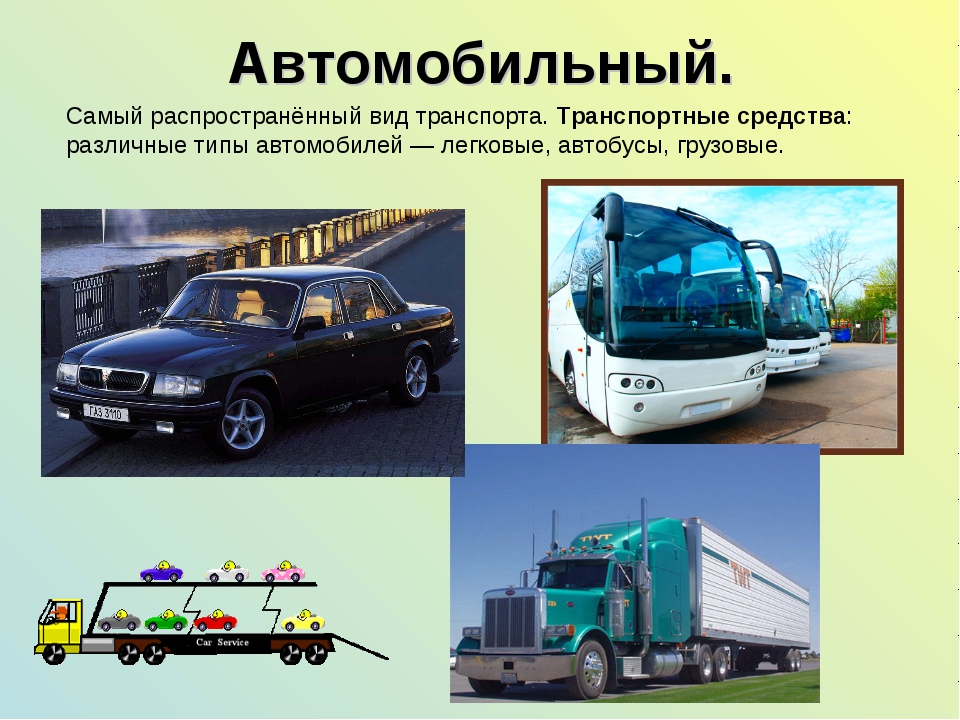 Виды транспортных. Виды автомобильного транспорта. Самый распространенный вид транспорта. Автомобильные транспортные средства. Типы автомобилей легковые грузовые.
