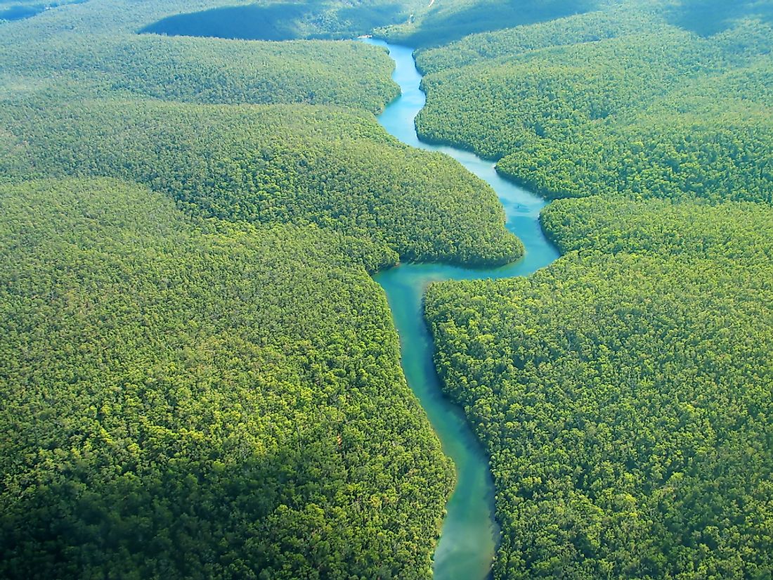 In recent years, studies have been pointing to the Amazon River as the world